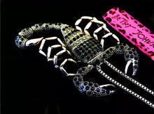 Load image into Gallery viewer, 🦂Scorpion Necklace & Brooch